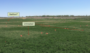 field trial