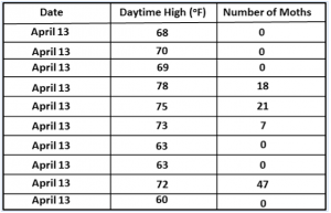 temperature and moth activity