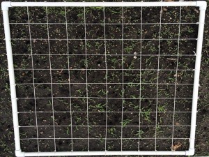 7-grid - jpg