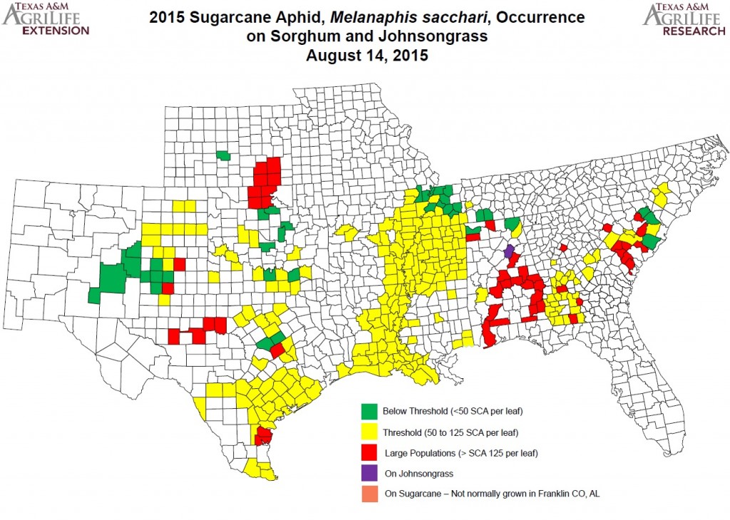 sca map aug 15 2015