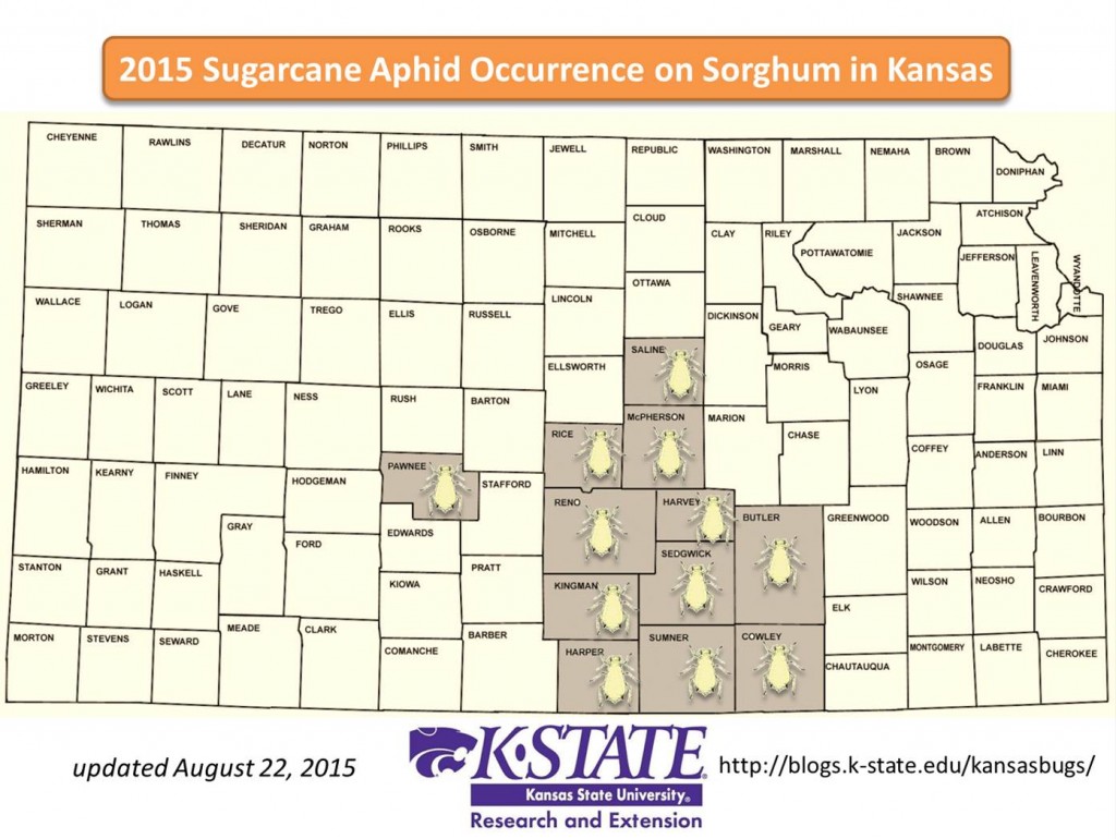 sca map aug 22
