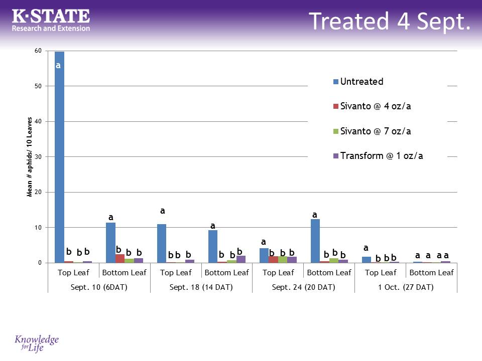 SCA efficacy trial 1