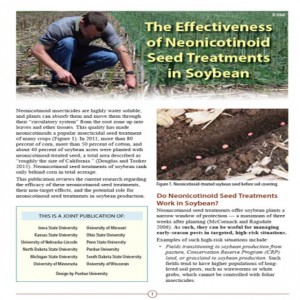 neonic pic