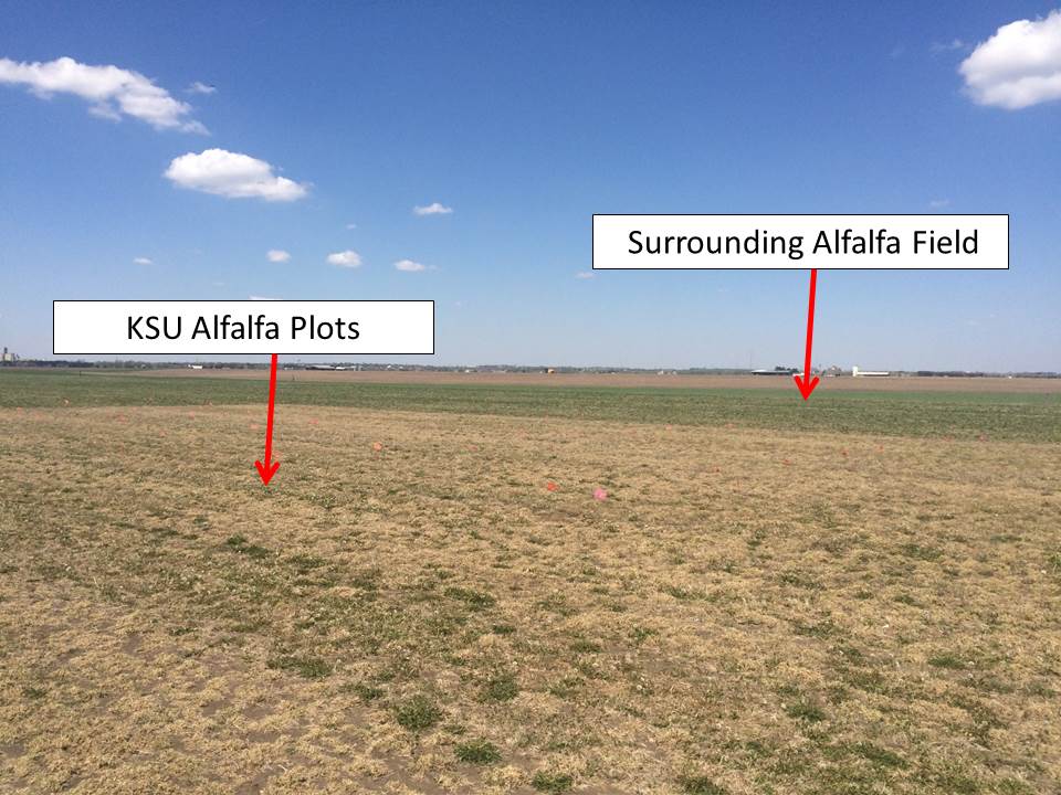 KSU plots 2016