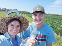 Nicole scouting for insect pests in soybean.