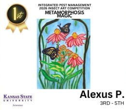 2026 IPM Art Contest Winners. 3rd-5th division winner: Alexus P. The illustration is of some butterflies on flowers and milkweed. There are caterpillars on the leaves below the butterflies.