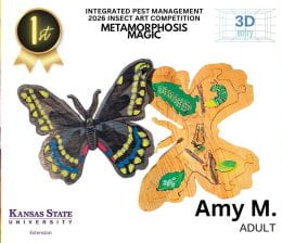 2026 IPM Art Contest Winners. Adult division winner: Amy M. She created a 3D sculpture of a butterfly. When you open up the butterfly, there is a metamorphosis cycle inside.