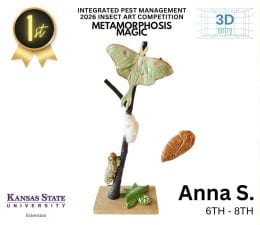 2026 IPM Art Contest Winners. 6th-8th division winner: Anna S. It is a sculpture of a lunar moth on a branch pointed upwards. At the top is the adult moth and moving down is the cocoon, caterpillar, and eggs.