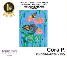 2026 IPM Art Contest Winners. K-2nd 1st division winner: Cora P. This is an illustration of monarch butterflies on flowers. There are some chrysalis hanging above with caterpillars below the butterflies on leaves.
