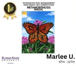 2026 IPM Art Contest Winners. 9th-12th division winner: Marlee U. It is an illustration of a butterfly wings spread on a purple flowered milkweed with a clouded blue sky in the background. Inside of the wings patters is different stages of metamorphosis.