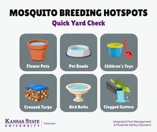 Common mosquito breeding hotspots include flower pots, pet bowls, children's toys, creased tarps, bird baths and clogged gutters.