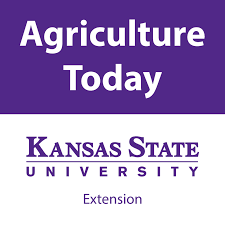 K-State Extension entomologist Raymond Cloyd says that greater populations of ladybugs do not pose a problem to gardens and landscapes.