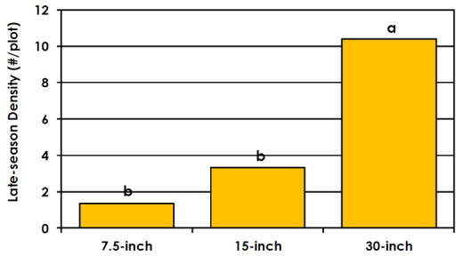 Chart by Kevin Bradley showing late-season density