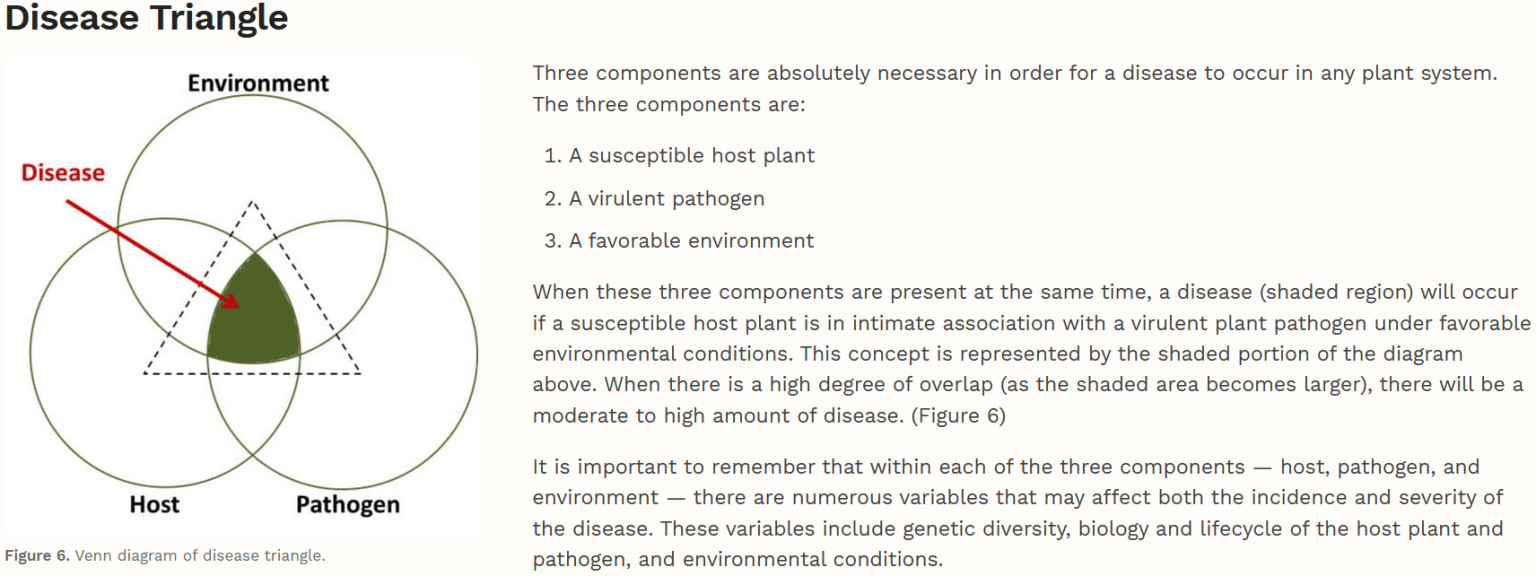 Soybean Cyst Disease Triangle