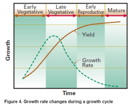 Grass growth over time chart