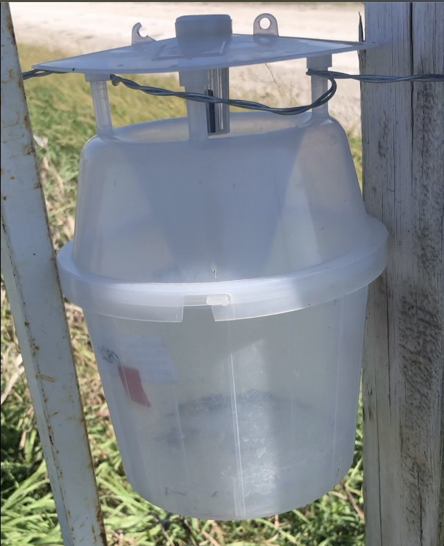 A side view of a fall armyworm trap.