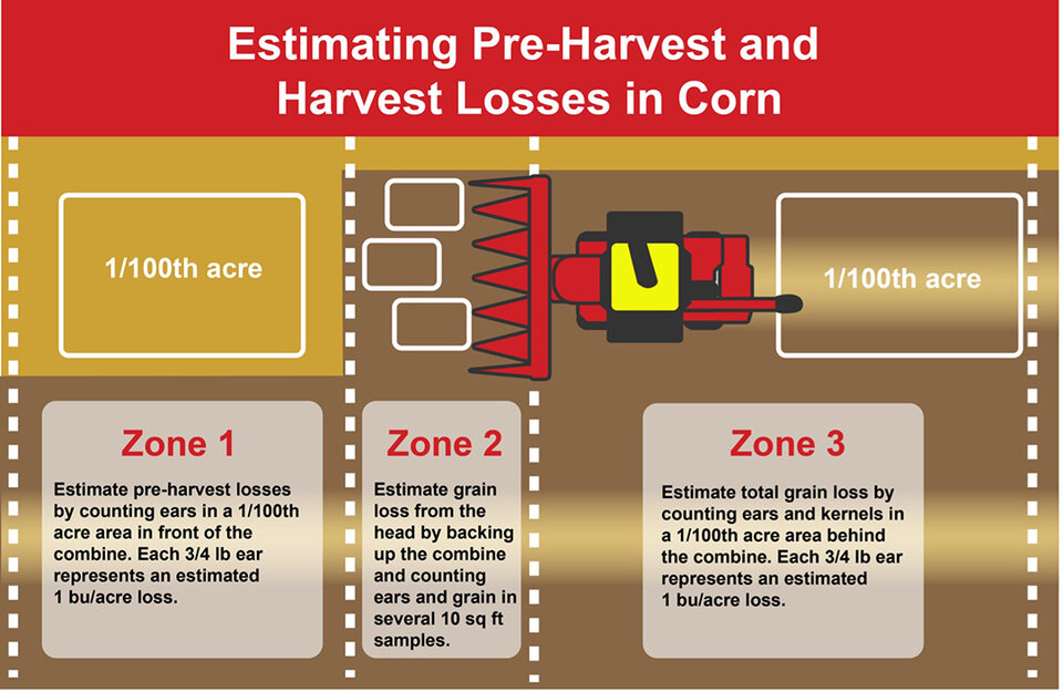 Infographic estimating yield losses