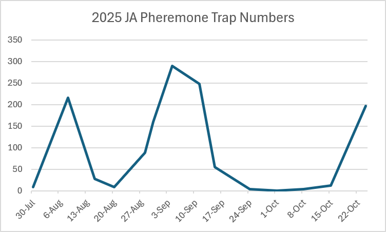 2025 Jackson Pheremone Trap Numbers chart