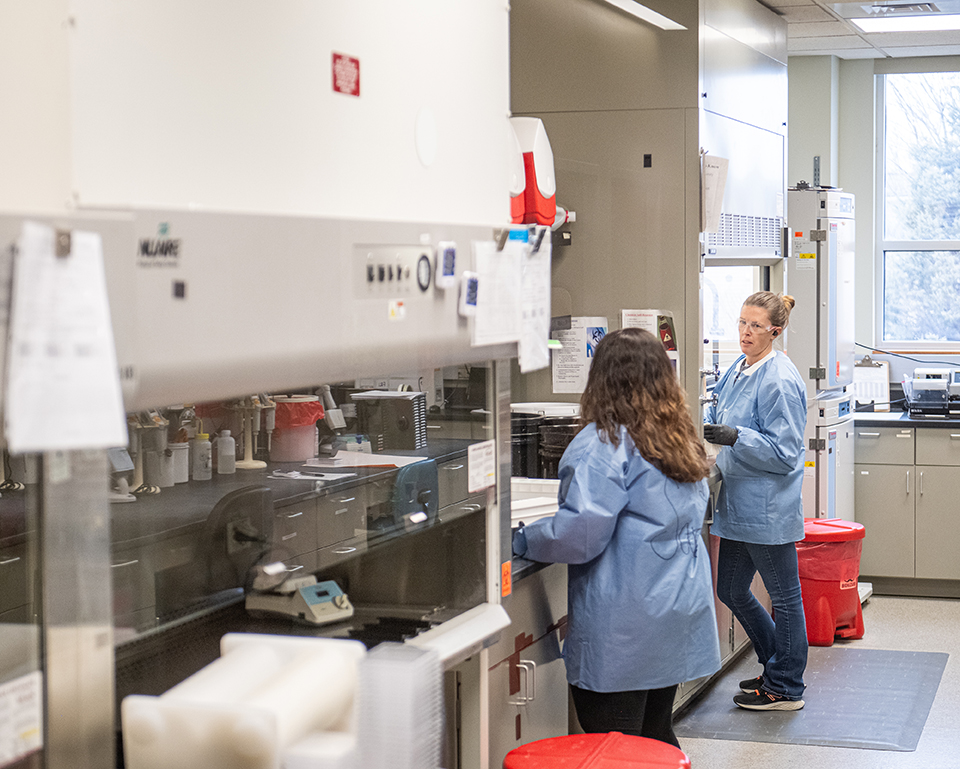 Insert your alt-text description of your photo here. 