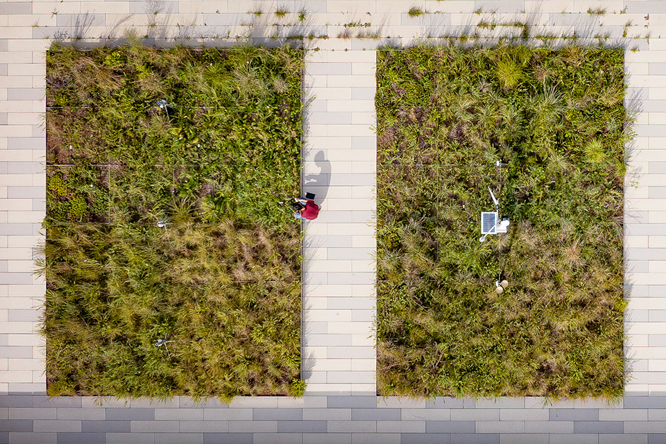 Aerial image of a green roof
