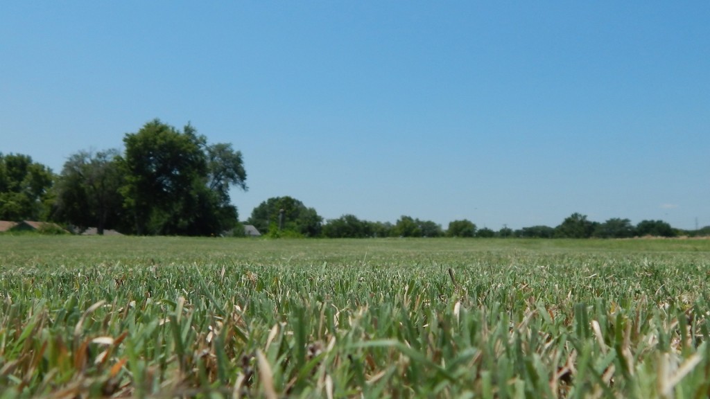 field