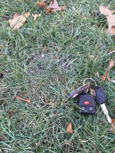 Mystery Spot in Home Lawn