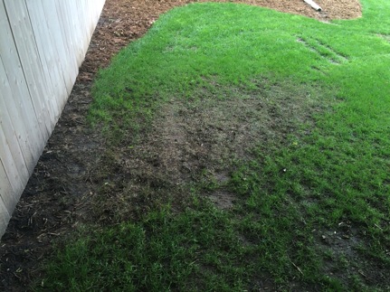 herbicide movement 1