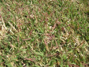 IMG_3861