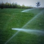 IMG_0586