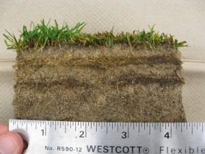 thatch_layers