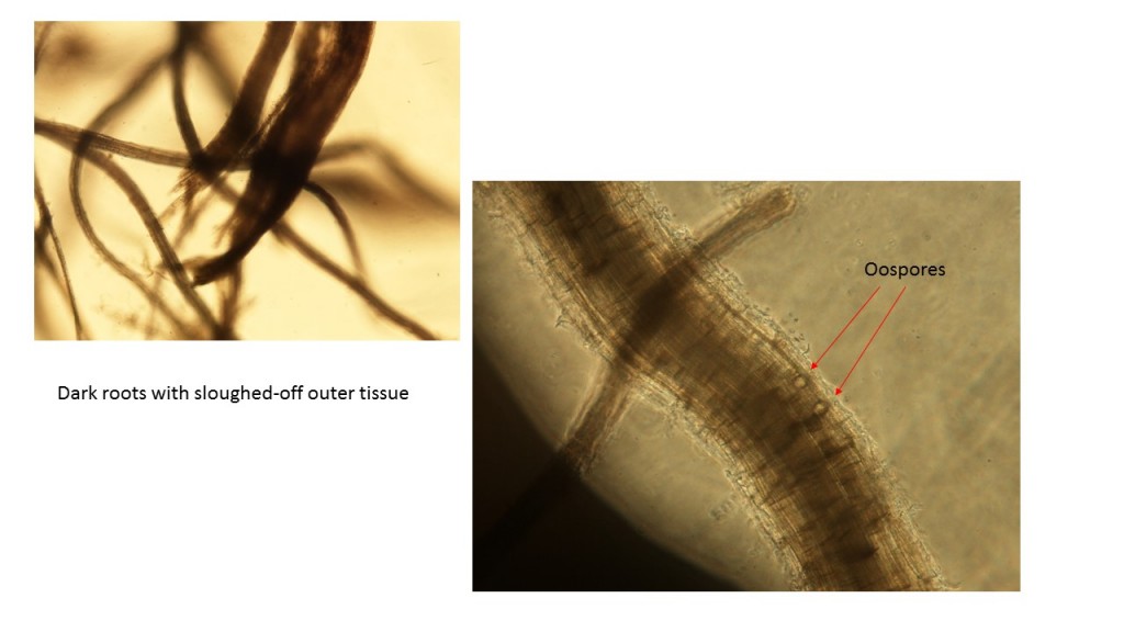Slide3