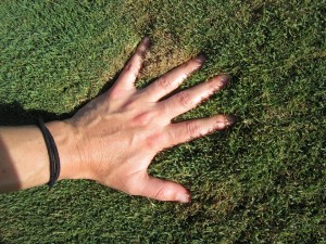 puffy-and-hand