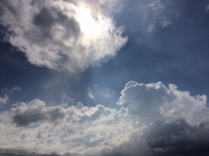 IMG_2216