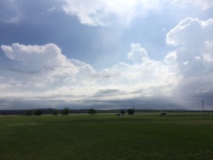 IMG_2217