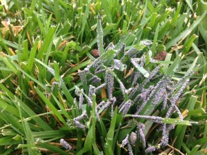 IMG_0580