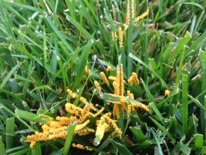 IMG_0581