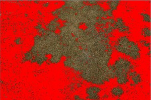 example-reverse
