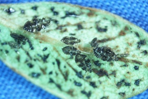 Slide3