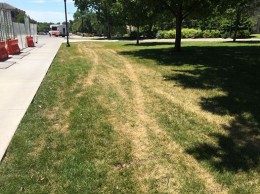 tracks