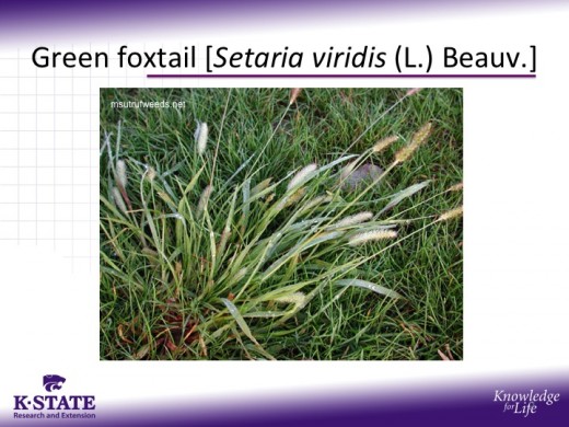 slide2