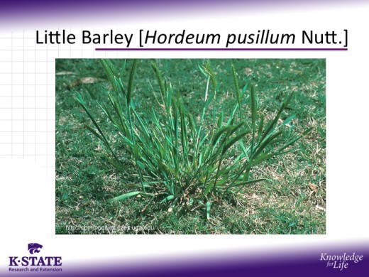 slide3