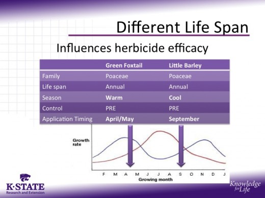 slide4
