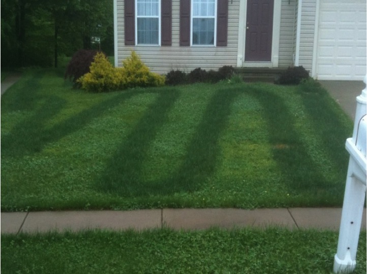 Fertilizer stripping