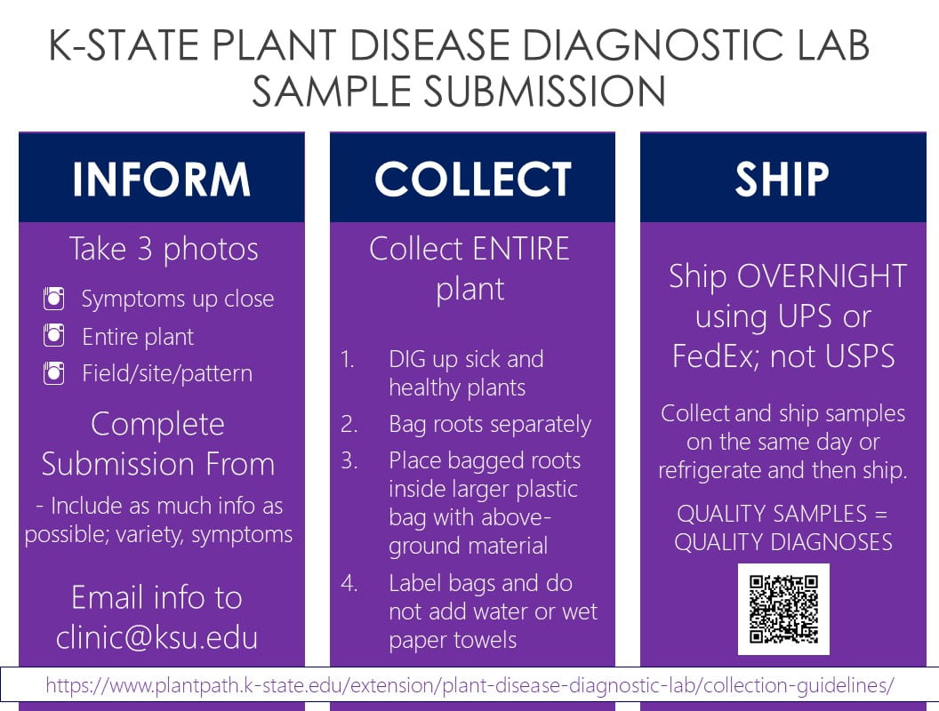 Lab Sample Submission