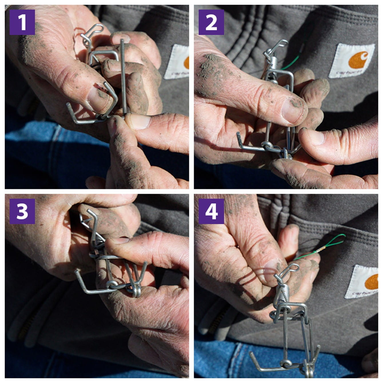 Opening the loose jaw photo