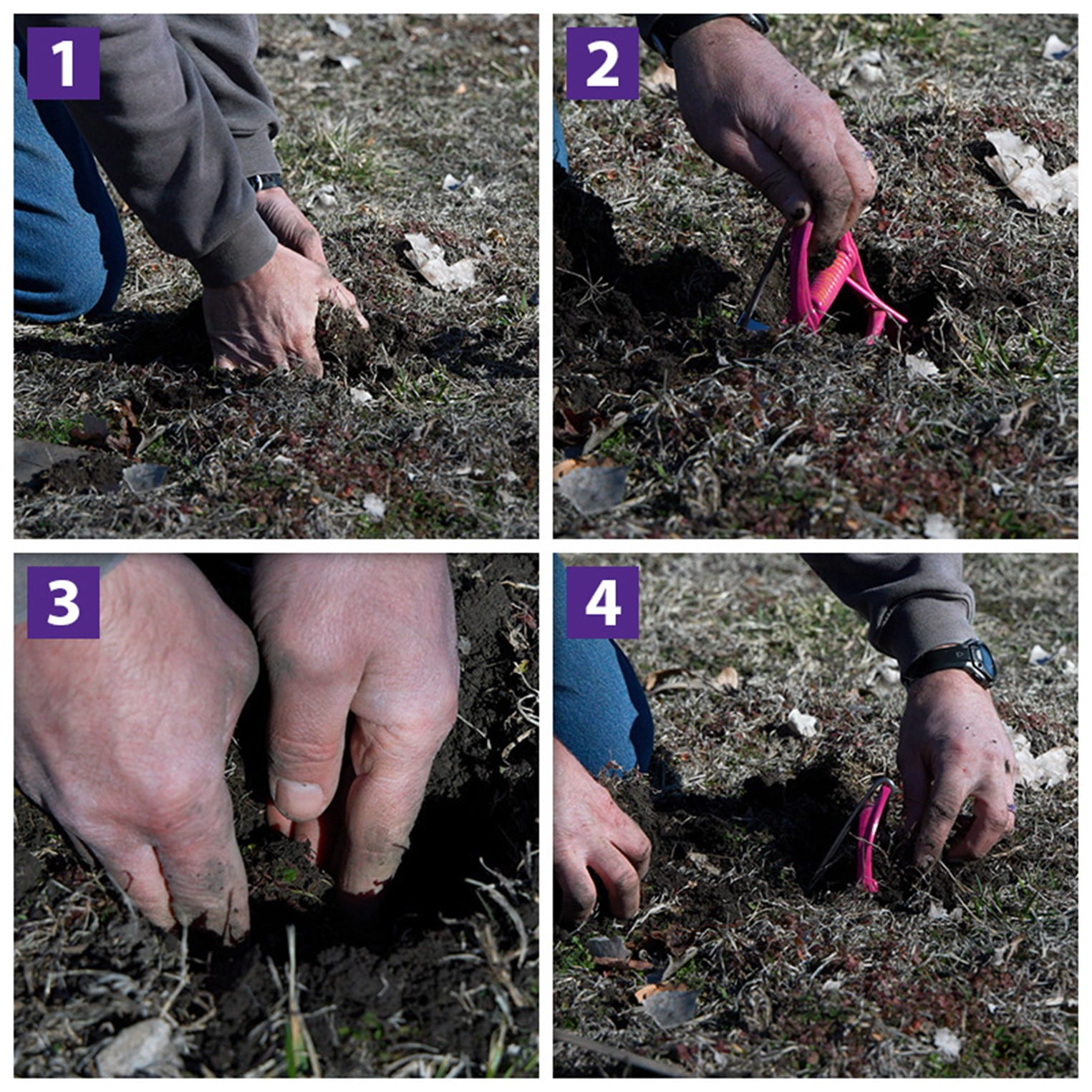 Exposing the the mole run photo