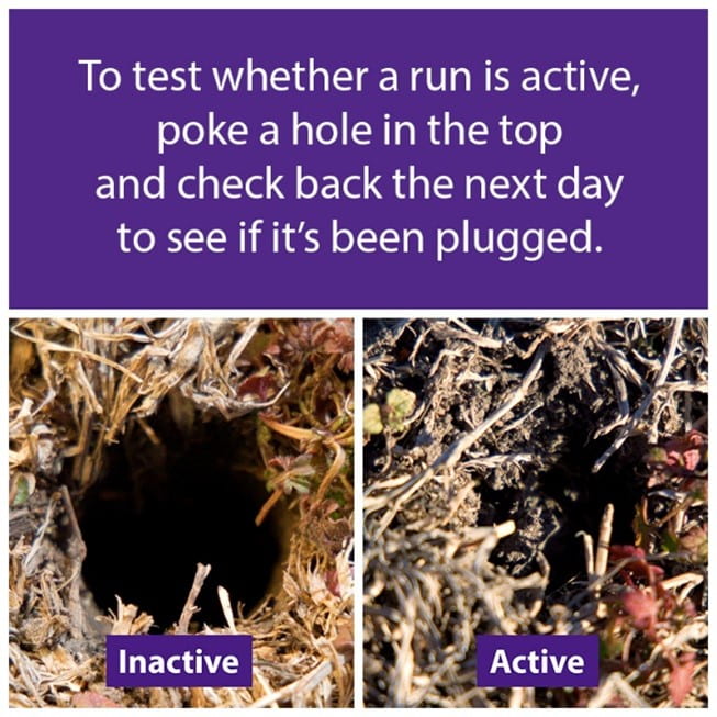 Inactive vs. Active Run photo