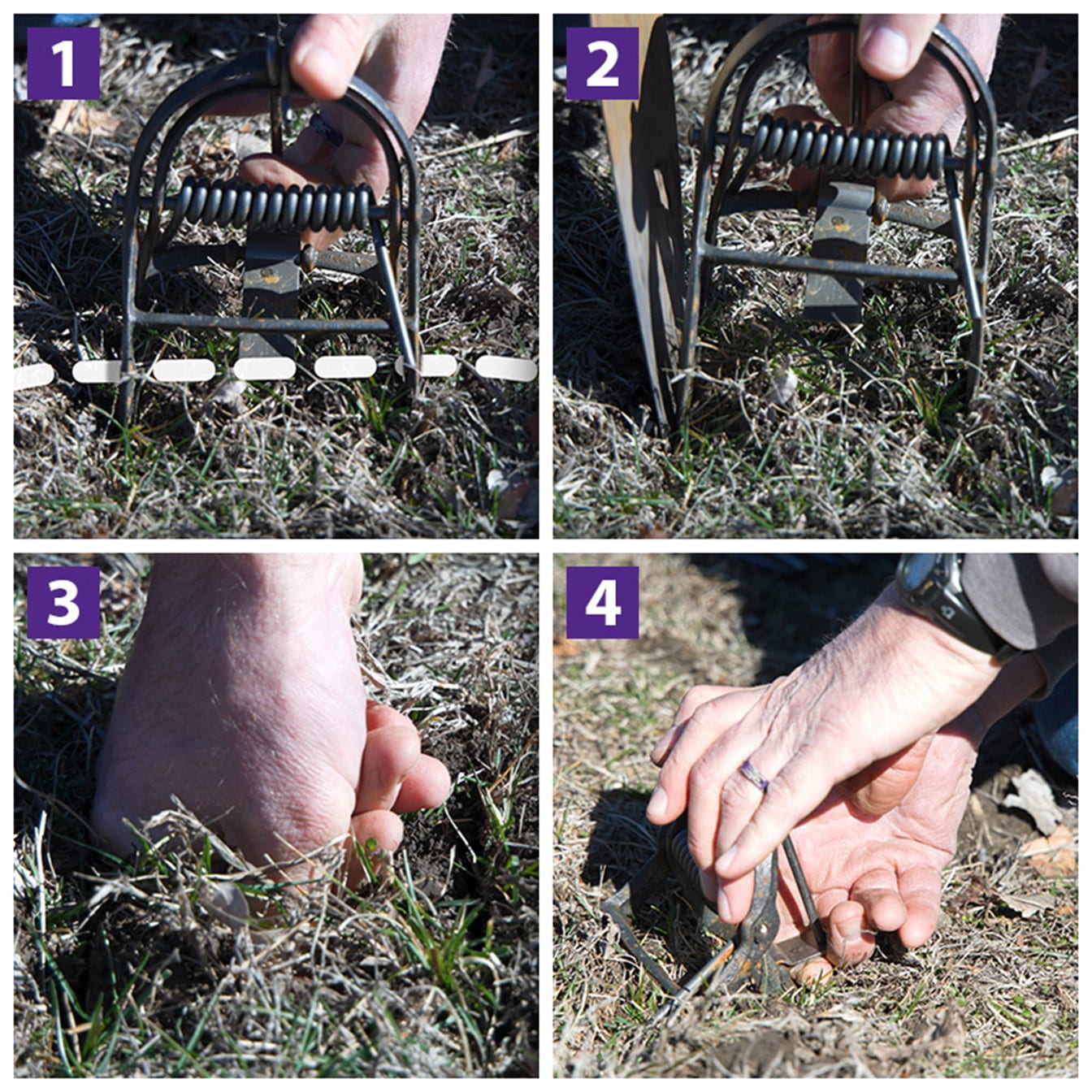 Aligning the trap photo