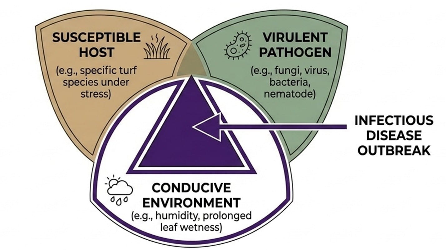 conducive environment graphic