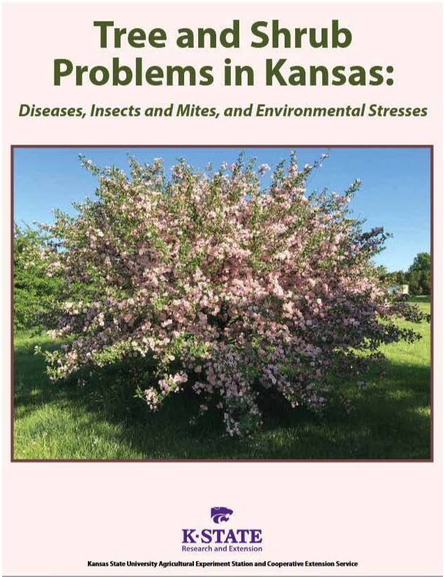 Tree and Shrub Problems in KS Guide